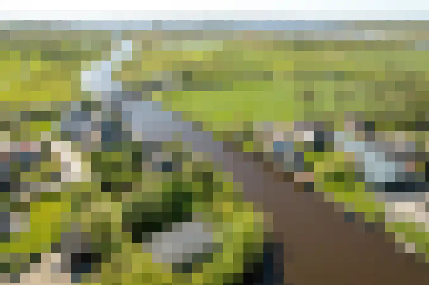 Elte Martens Beimastrjitte 1 Eastermar thumbnail 27