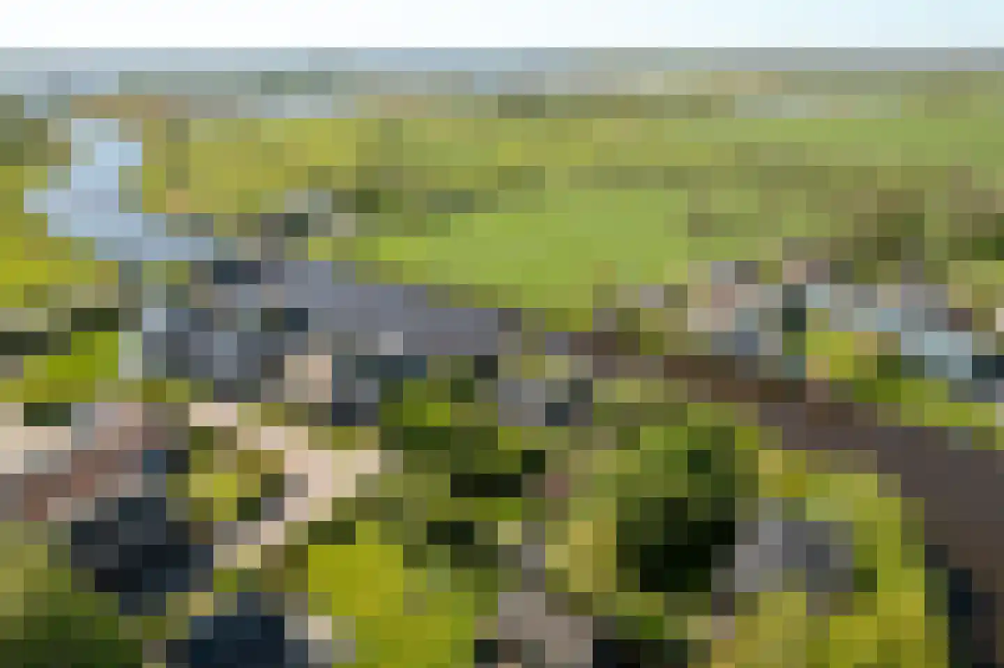 Elte Martens Beimastrjitte 1 Eastermar thumbnail 28