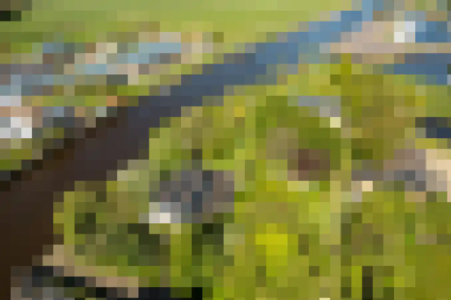 Elte Martens Beimastrjitte 1 Eastermar thumbnail 29