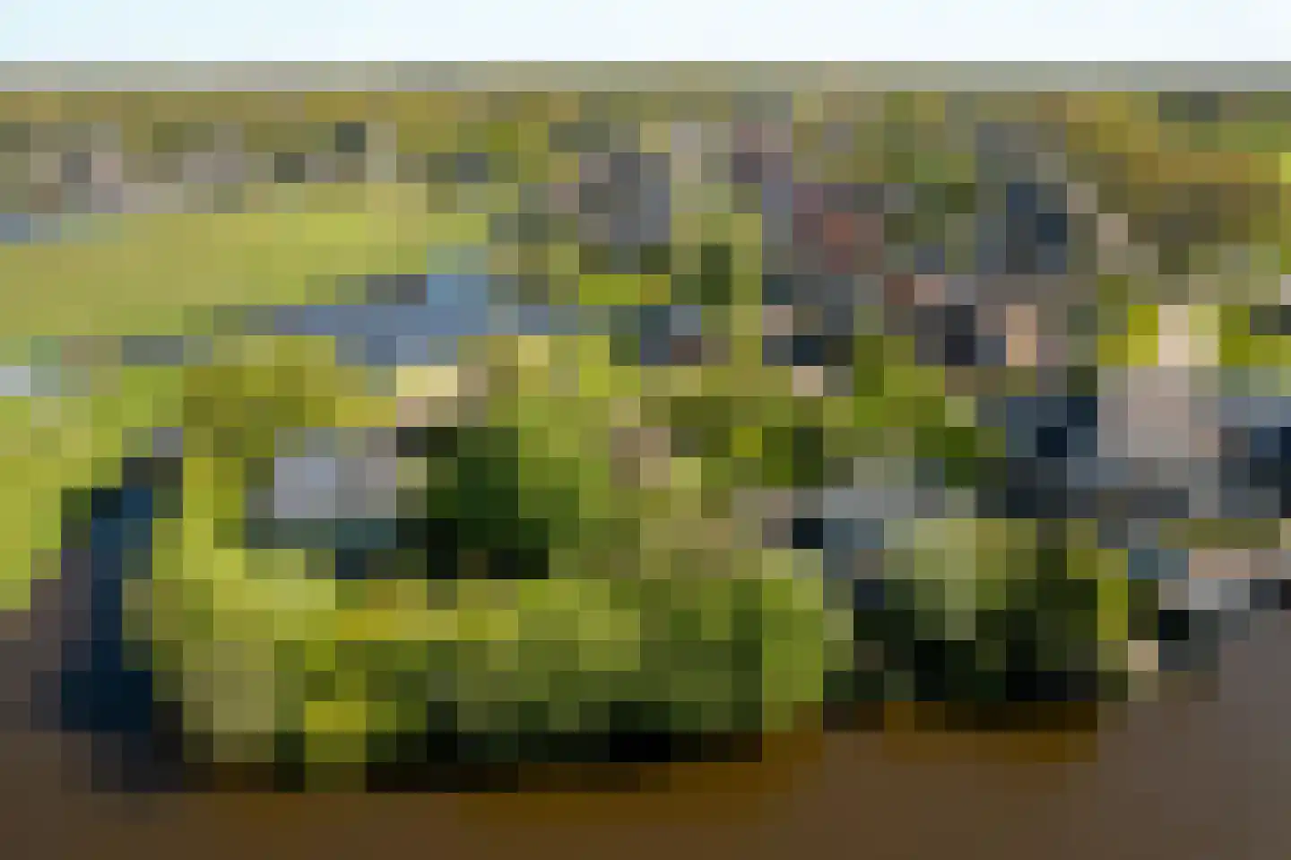 Elte Martens Beimastrjitte 1 Eastermar thumbnail 30