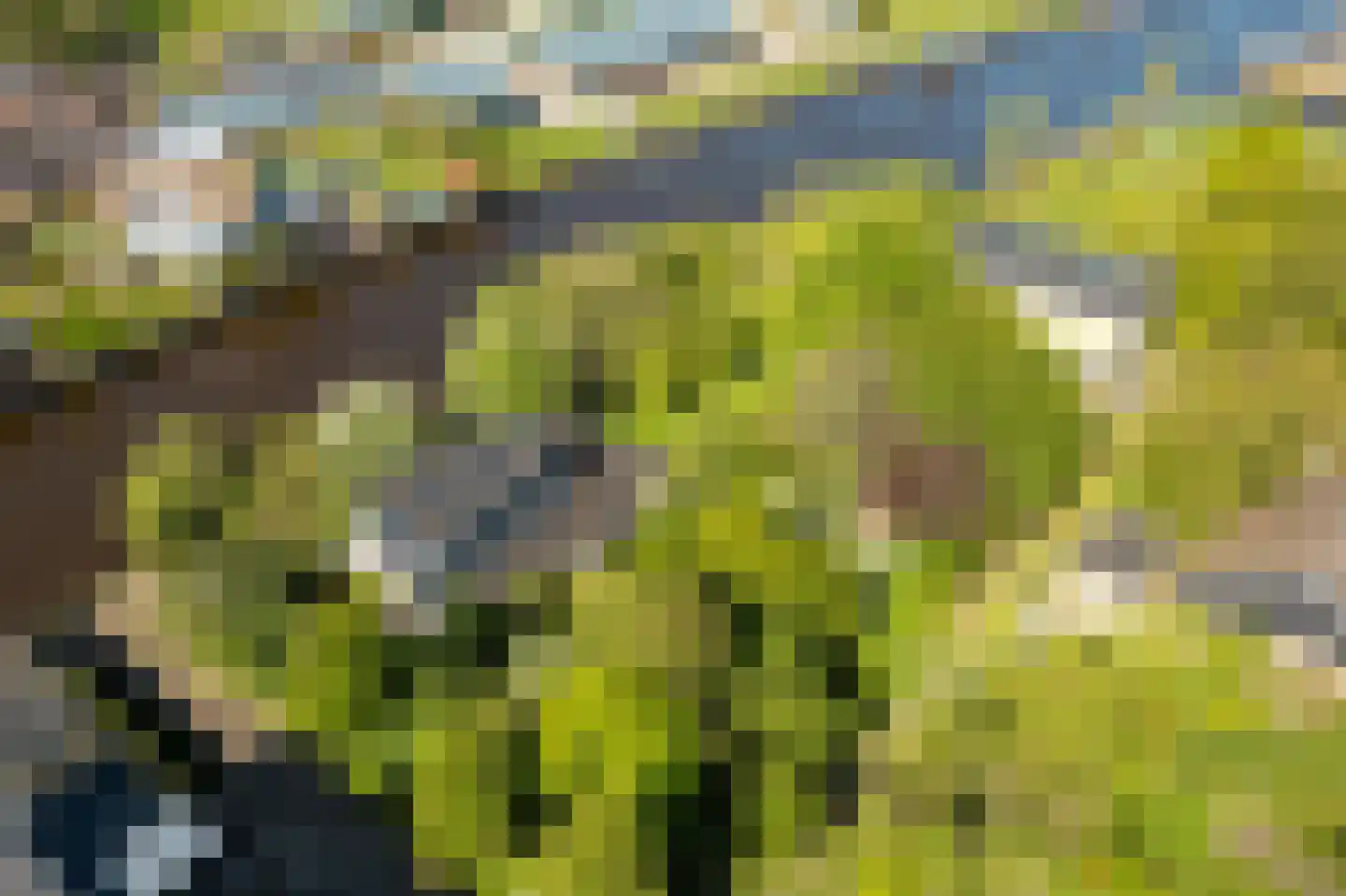Elte Martens Beimastrjitte 1 Eastermar thumbnail 31