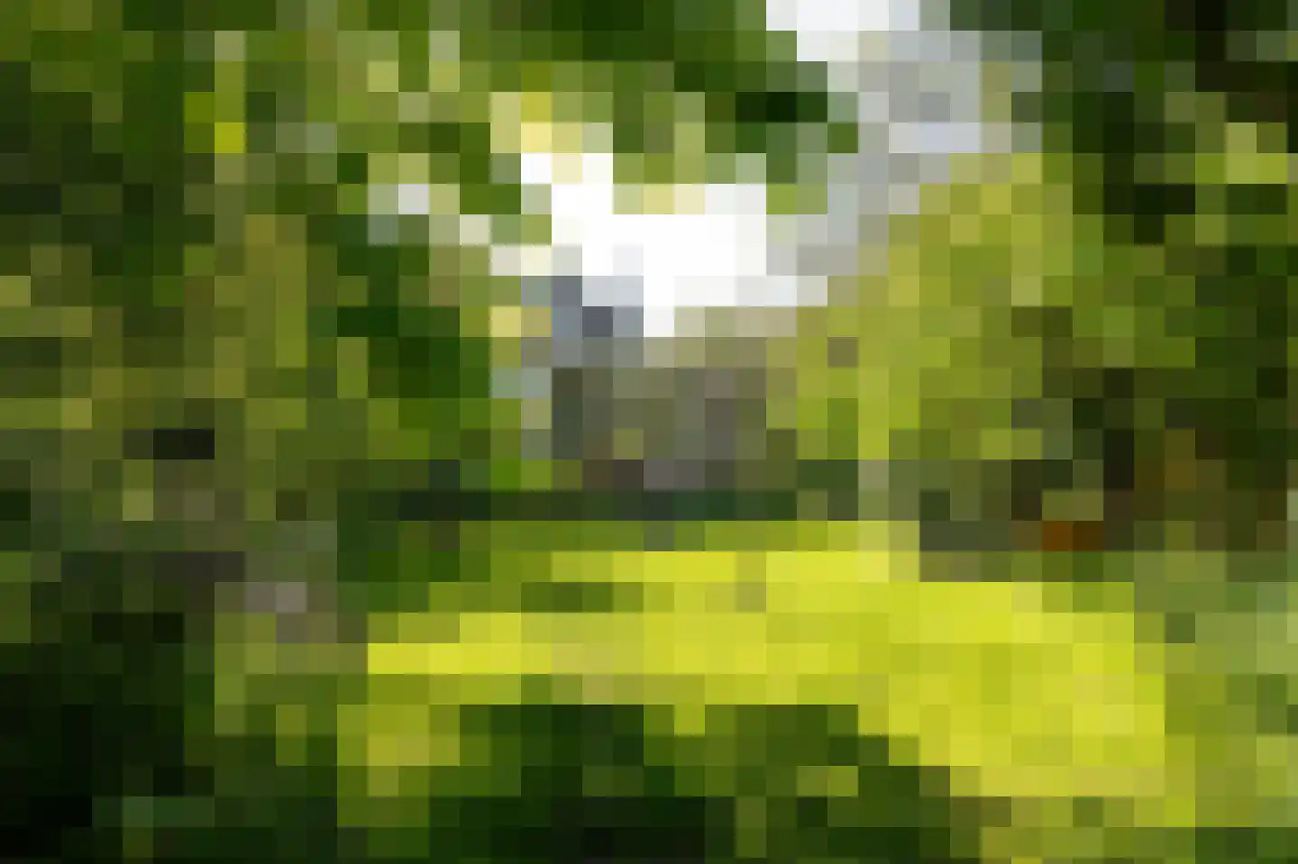 Elte Martens Beimastrjitte 1 Eastermar thumbnail 33