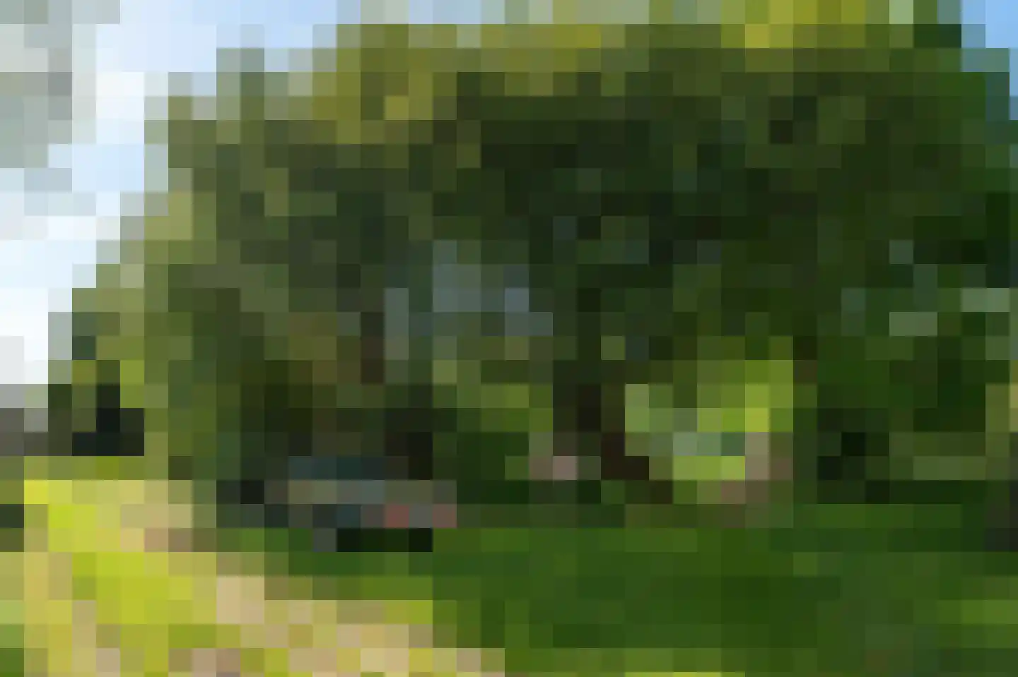 Elte Martens Beimastrjitte 1 Eastermar thumbnail 35