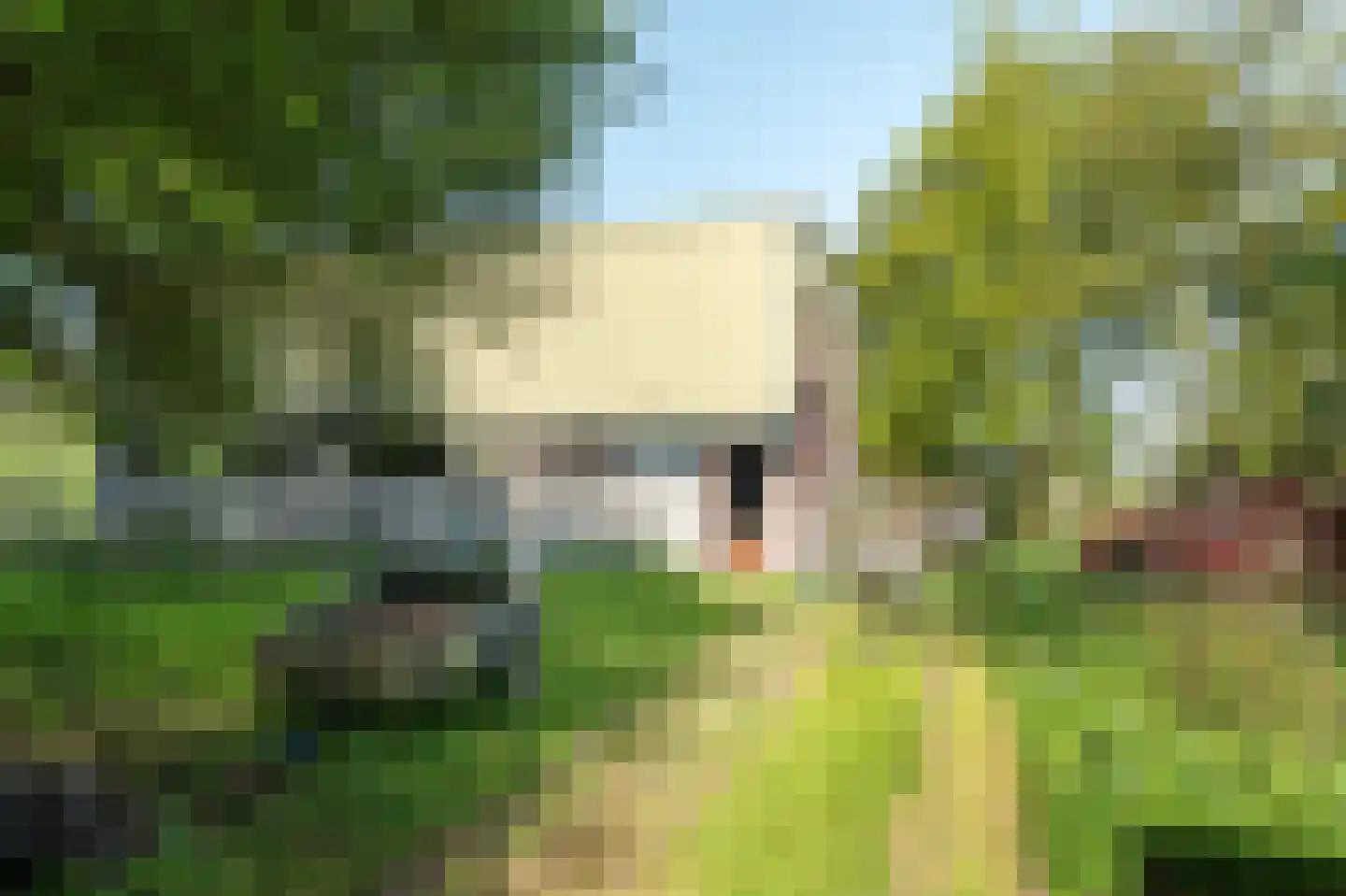 Elte Martens Beimastrjitte 1 Eastermar thumbnail 36