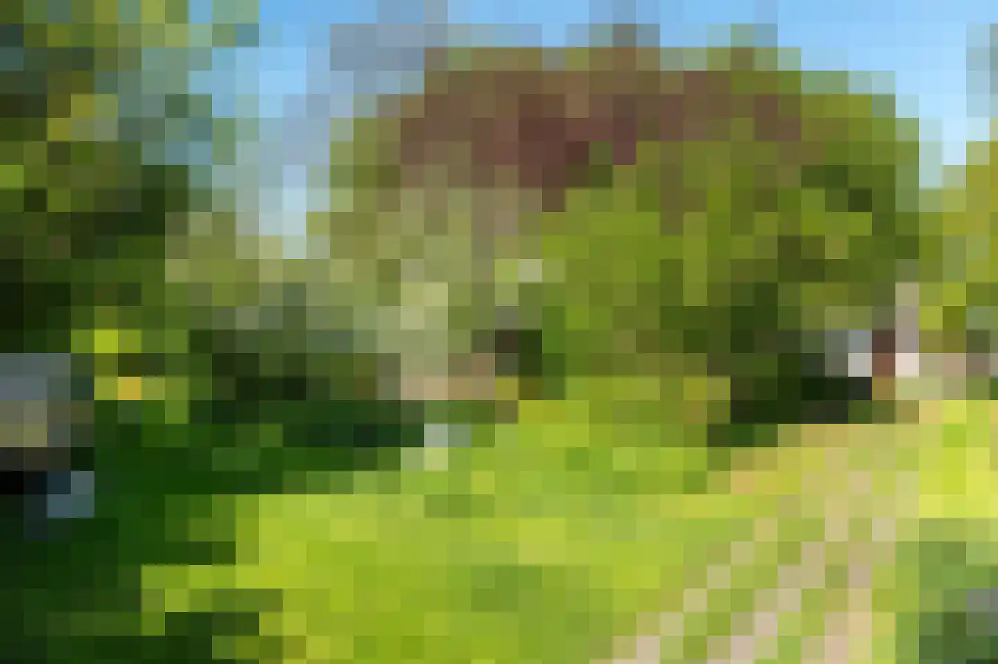 Elte Martens Beimastrjitte 1 Eastermar thumbnail 37