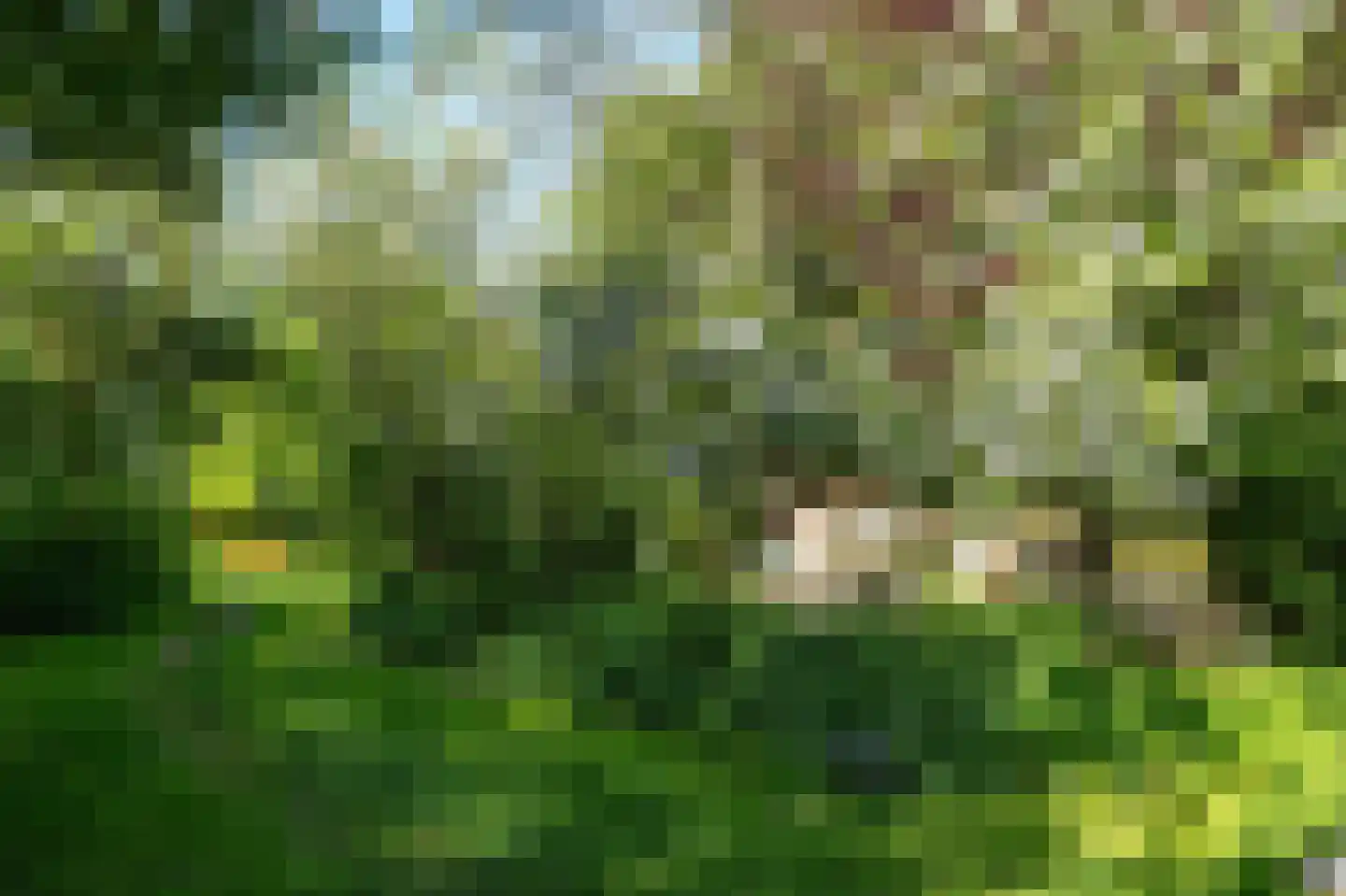 Elte Martens Beimastrjitte 1 Eastermar thumbnail 38