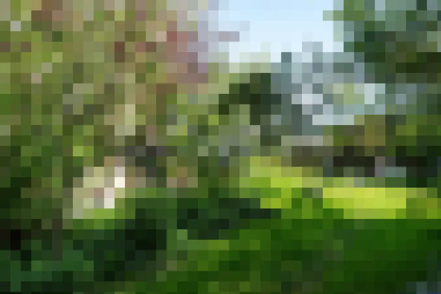 Elte Martens Beimastrjitte 1 Eastermar thumbnail 39
