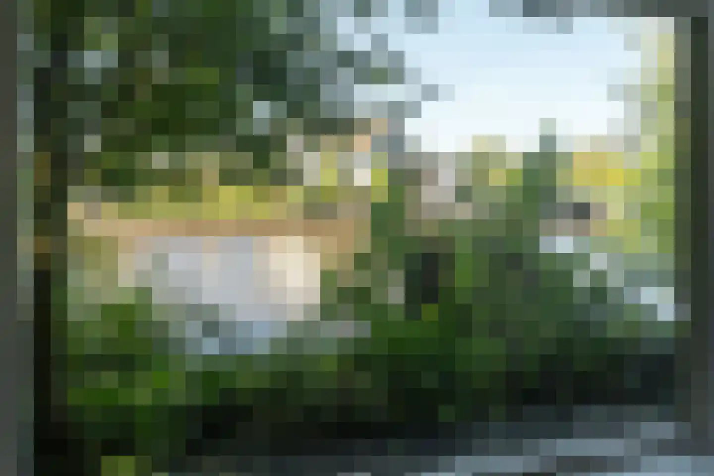 Elte Martens Beimastrjitte 1 Eastermar thumbnail 42
