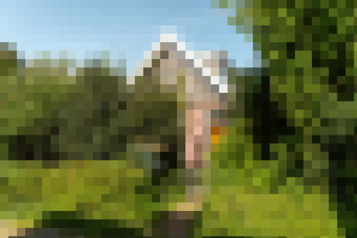 Elte Martens Beimastrjitte 1 Eastermar thumbnail 5