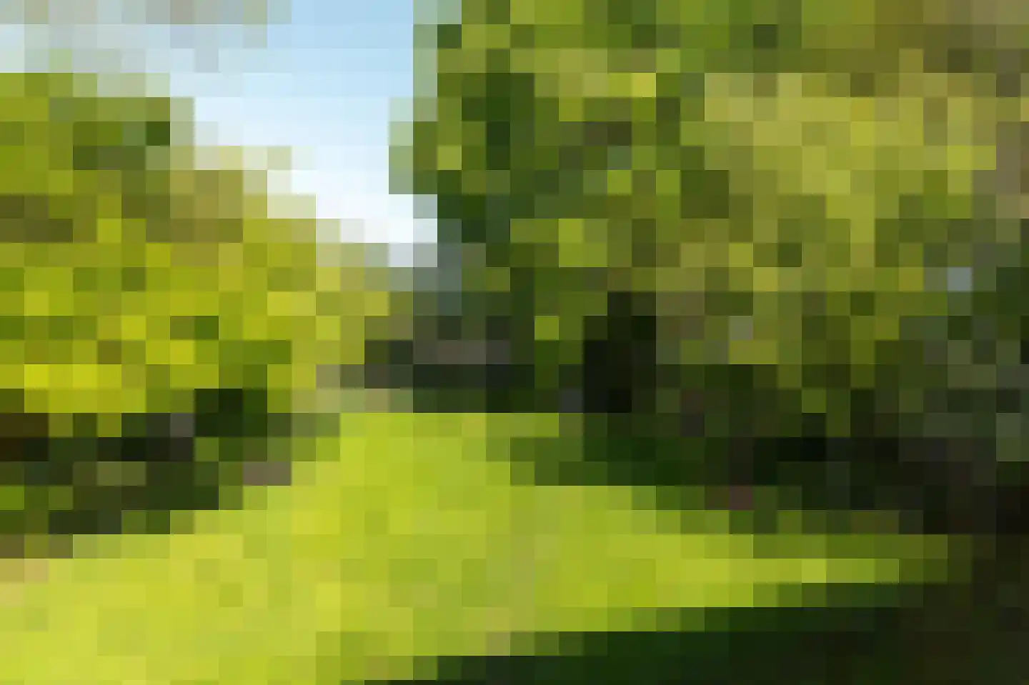Elte Martens Beimastrjitte 1 Eastermar thumbnail 9