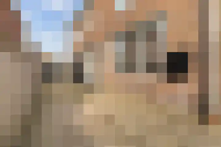 Elte Martens Beimastrjitte 11 Eastermar thumbnail 10