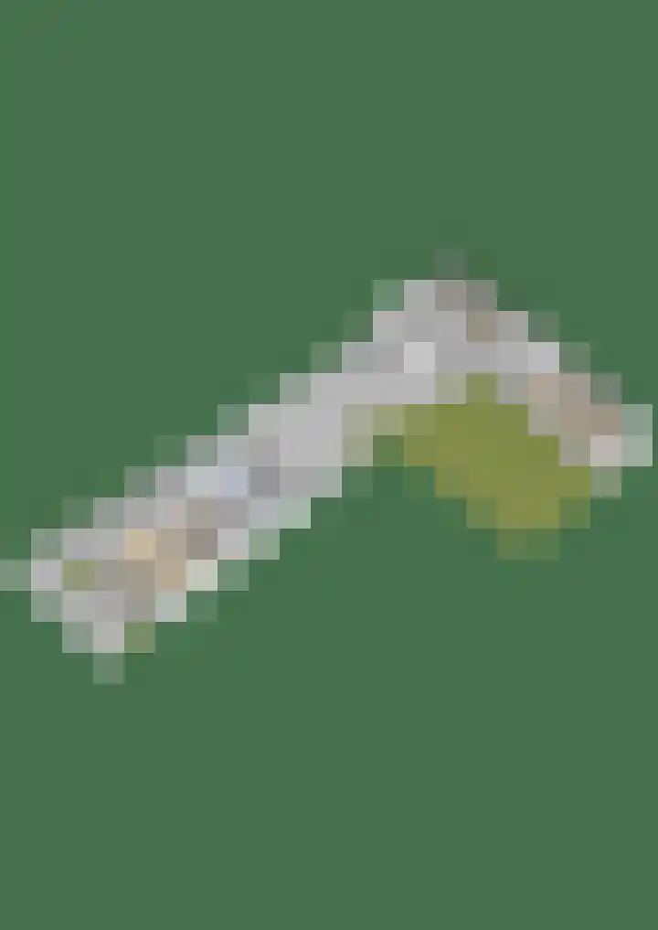 Elte Martens Beimastrjitte 11 Eastermar thumbnail 100
