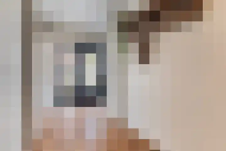 Elte Martens Beimastrjitte 11 Eastermar thumbnail 15