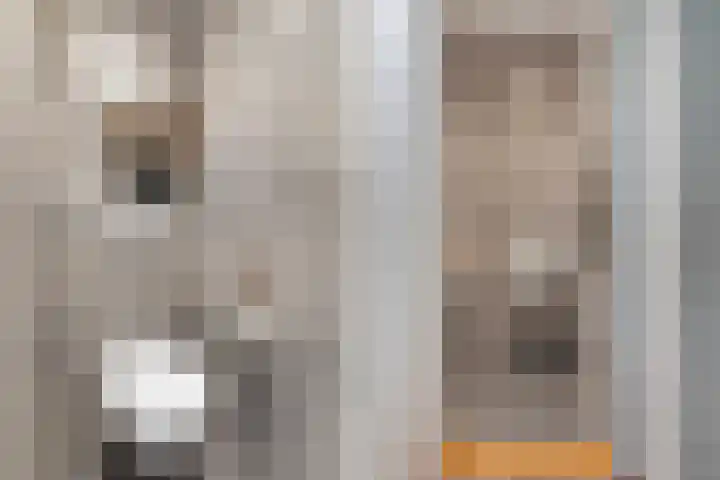 Elte Martens Beimastrjitte 11 Eastermar thumbnail 17