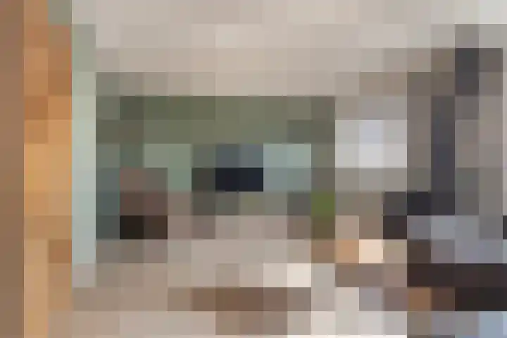 Elte Martens Beimastrjitte 11 Eastermar thumbnail 18