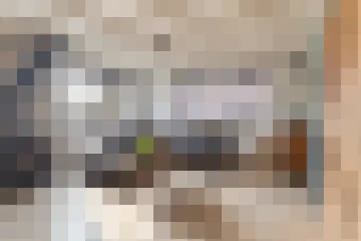 Elte Martens Beimastrjitte 11 Eastermar thumbnail 19