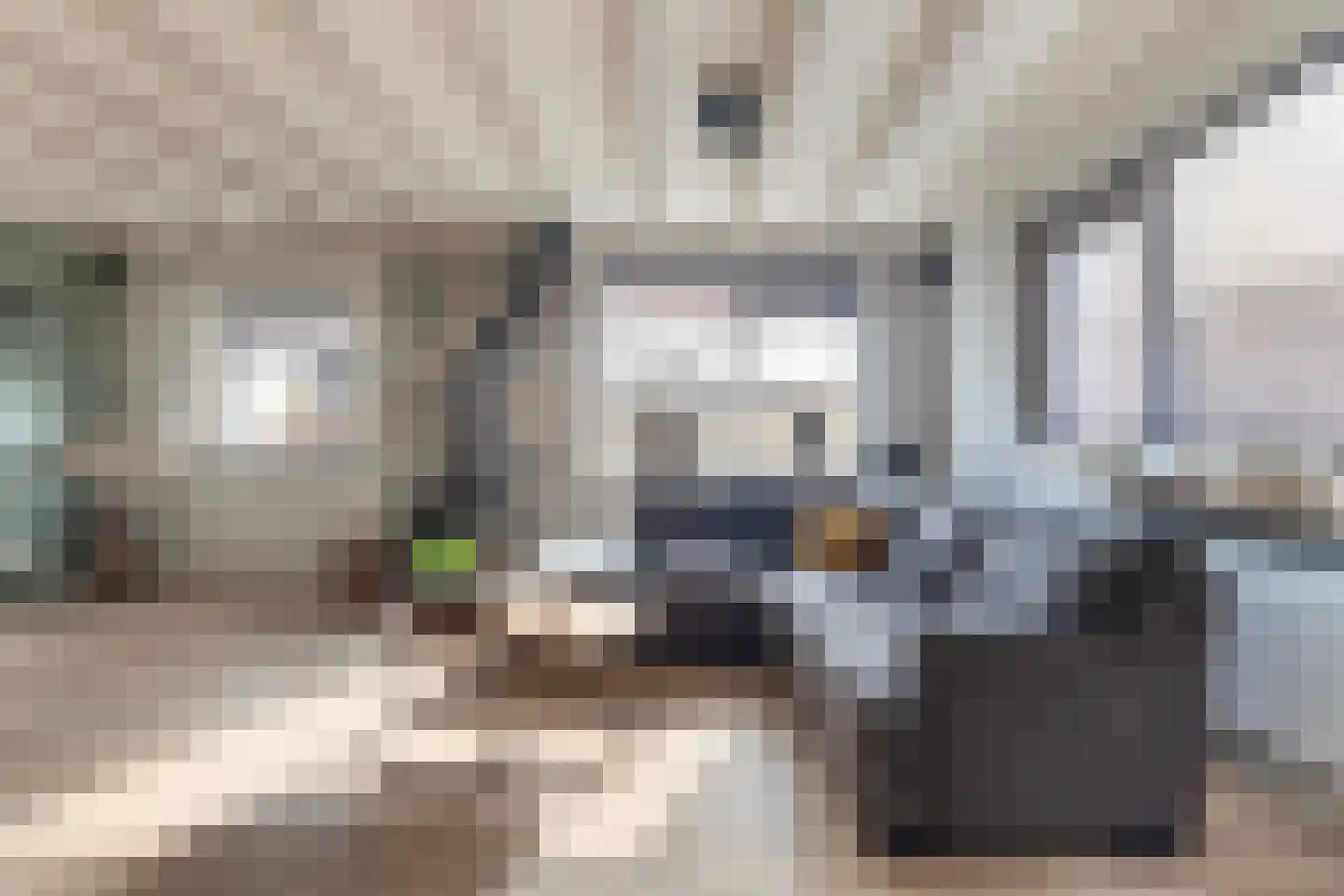 Elte Martens Beimastrjitte 11 Eastermar thumbnail 21