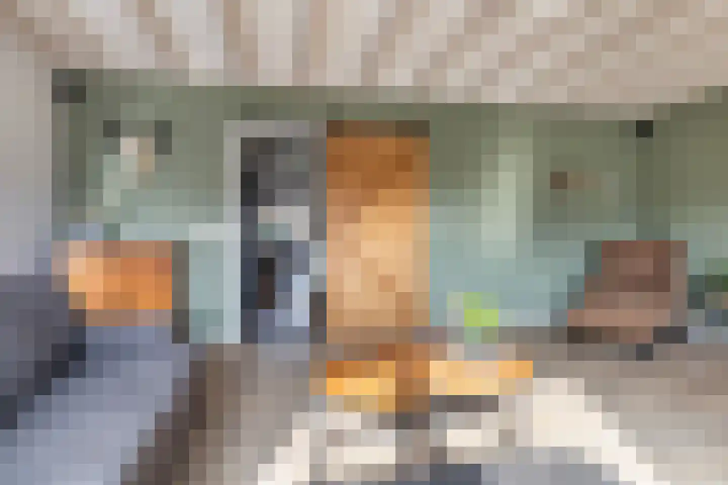 Elte Martens Beimastrjitte 11 Eastermar thumbnail 23