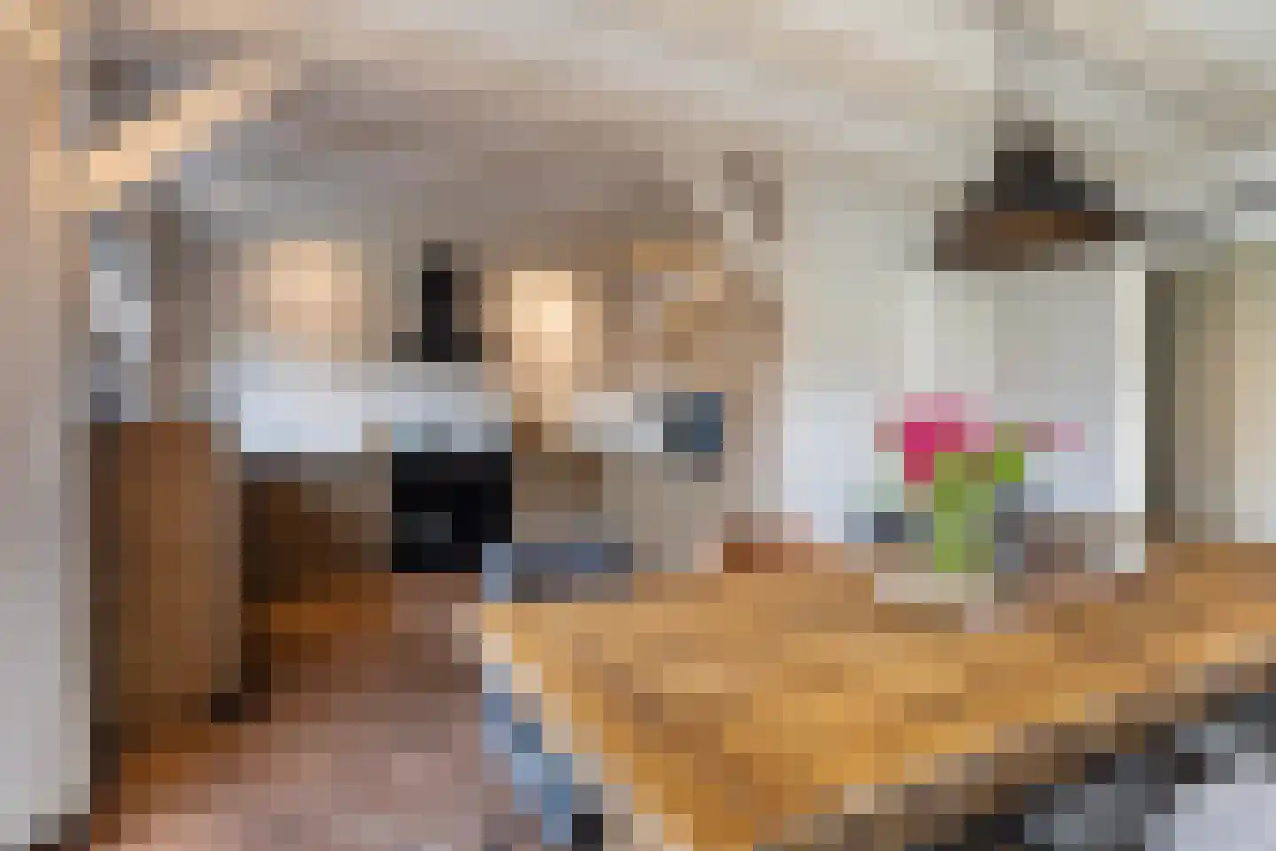 Elte Martens Beimastrjitte 11 Eastermar thumbnail 25
