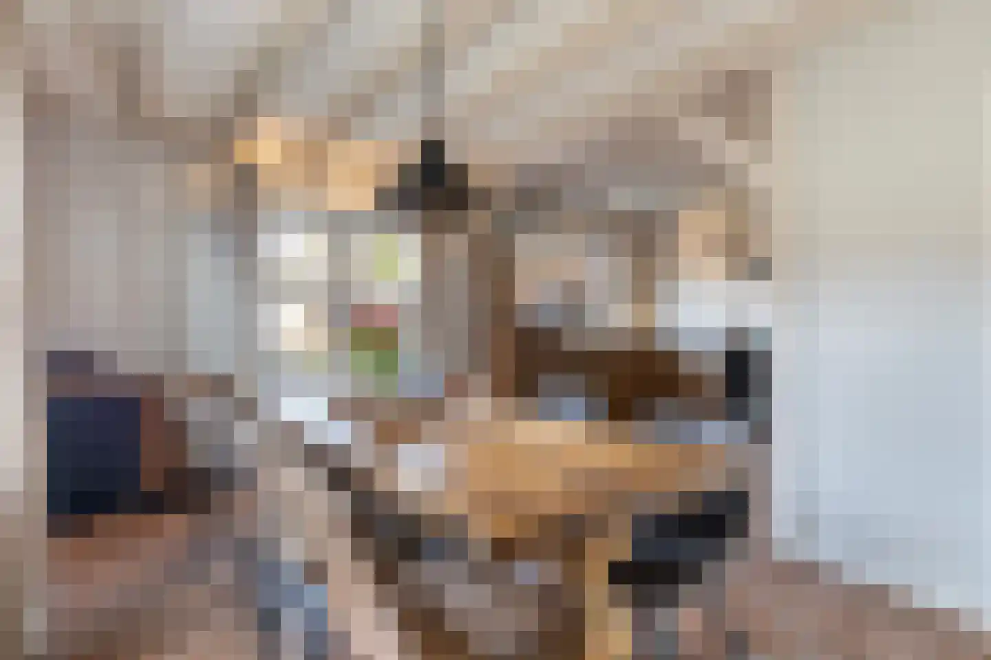 Elte Martens Beimastrjitte 11 Eastermar thumbnail 26