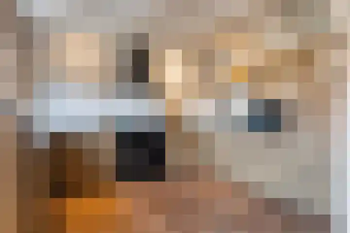 Elte Martens Beimastrjitte 11 Eastermar thumbnail 27