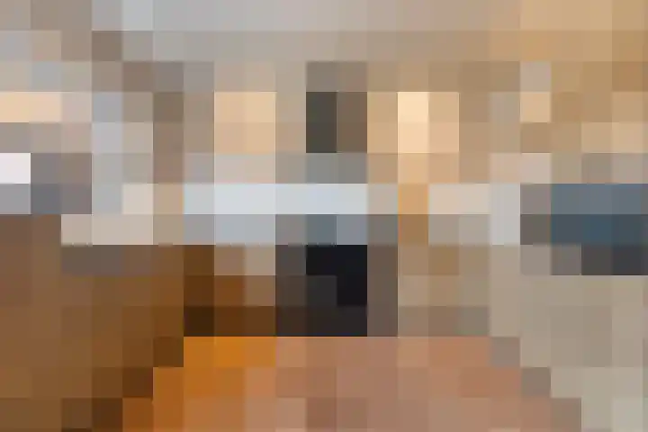 Elte Martens Beimastrjitte 11 Eastermar thumbnail 28