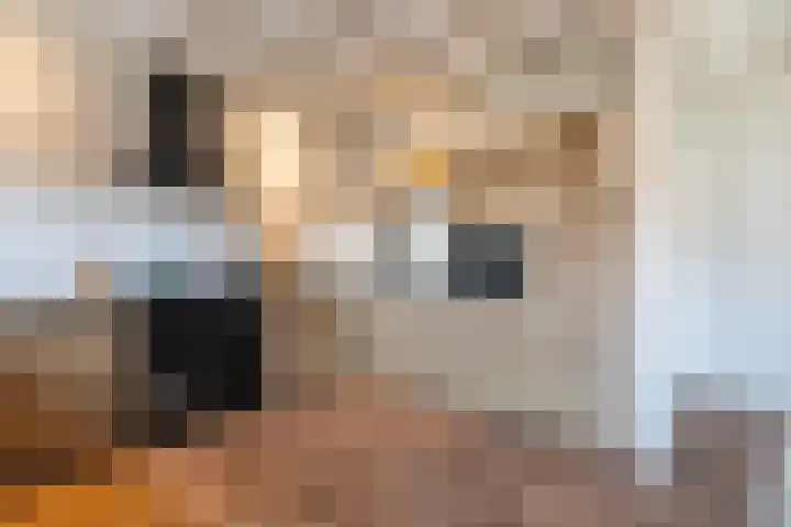 Elte Martens Beimastrjitte 11 Eastermar thumbnail 30