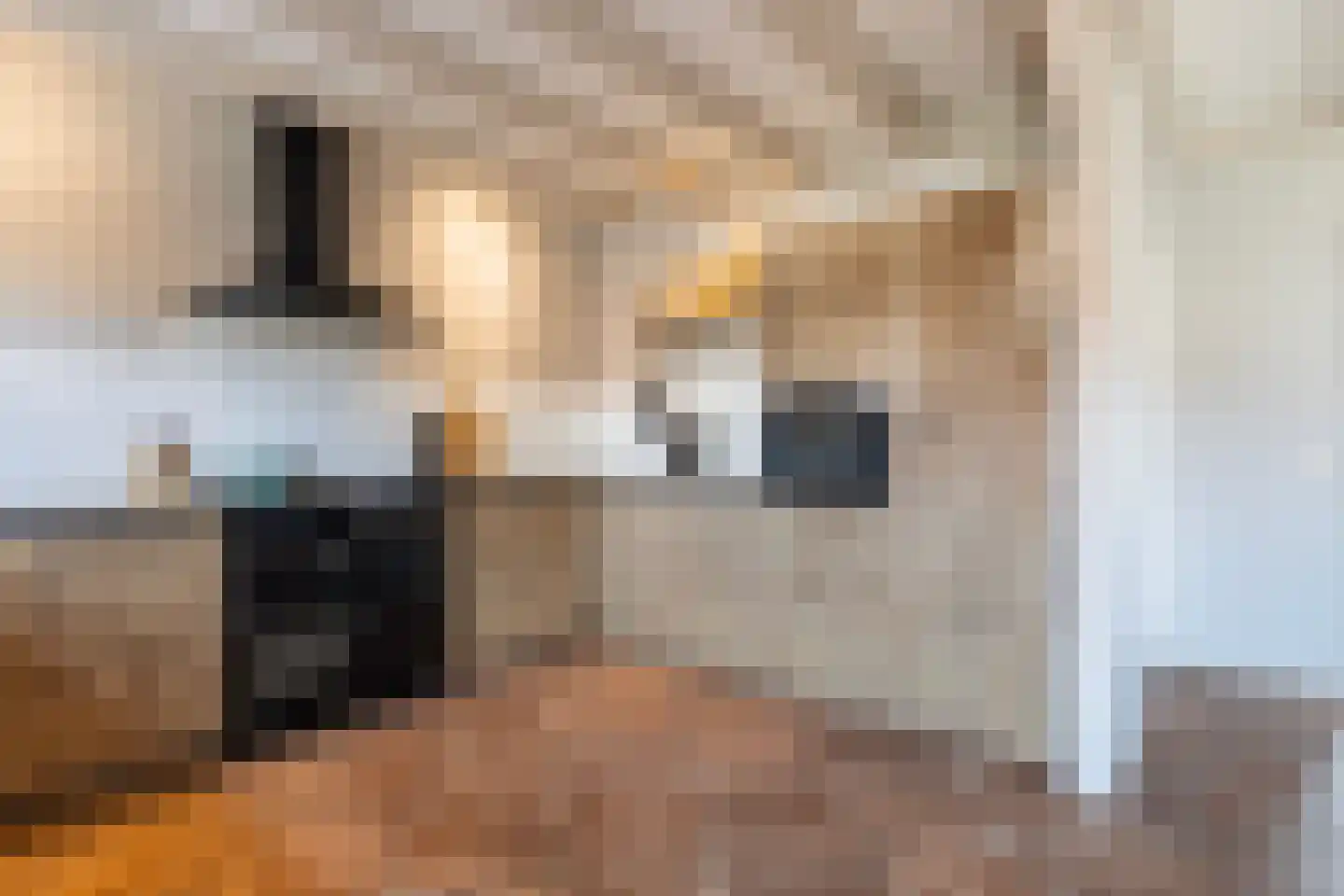 Elte Martens Beimastrjitte 11 Eastermar thumbnail 30