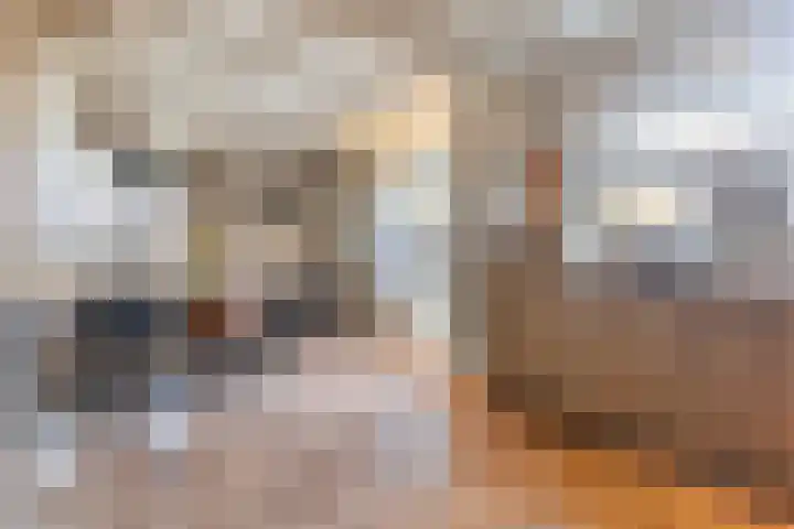 Elte Martens Beimastrjitte 11 Eastermar thumbnail 31