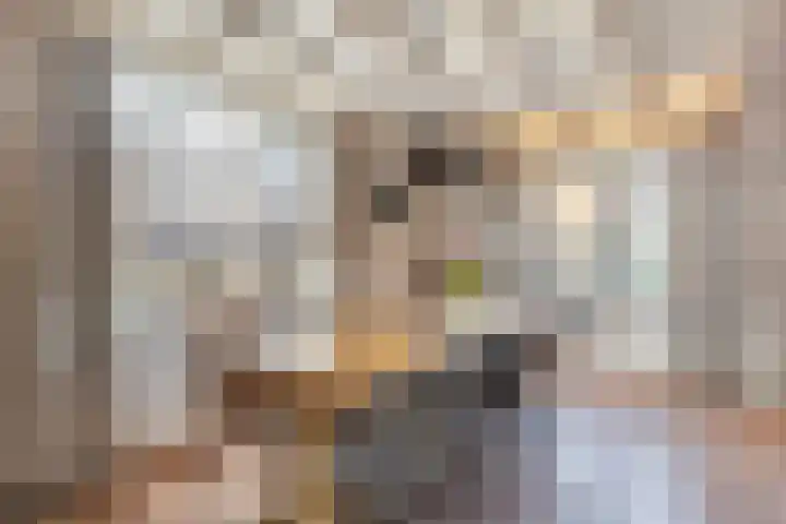 Elte Martens Beimastrjitte 11 Eastermar thumbnail 32