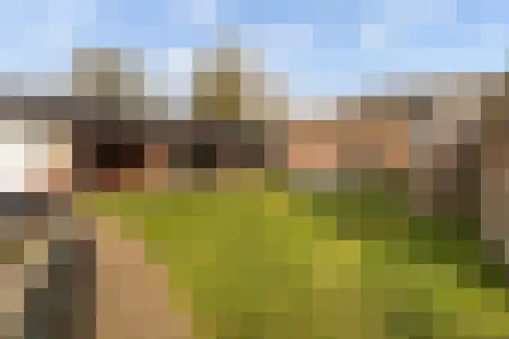 Elte Martens Beimastrjitte 11 Eastermar thumbnail 38