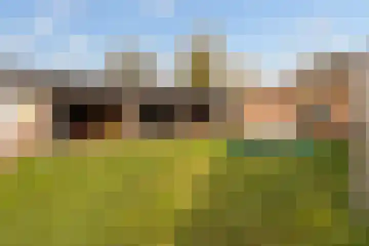 Elte Martens Beimastrjitte 11 Eastermar thumbnail 40