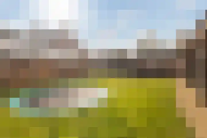 Elte Martens Beimastrjitte 11 Eastermar thumbnail 42