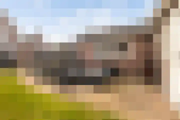 Elte Martens Beimastrjitte 11 Eastermar thumbnail 46