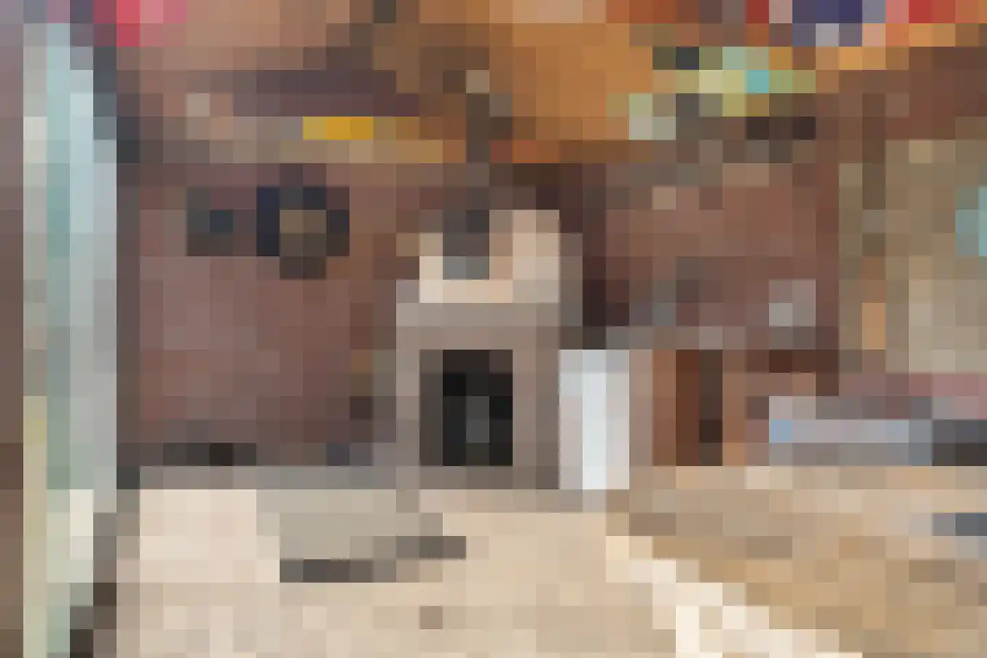 Elte Martens Beimastrjitte 11 Eastermar thumbnail 52