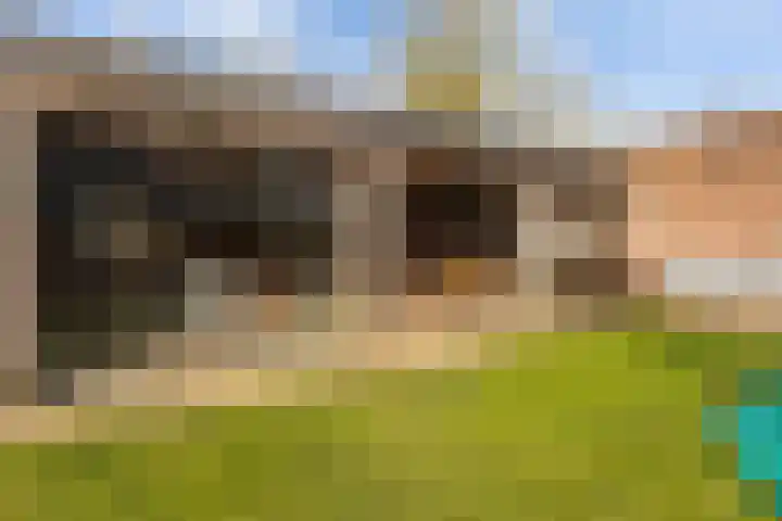 Elte Martens Beimastrjitte 11 Eastermar thumbnail 53