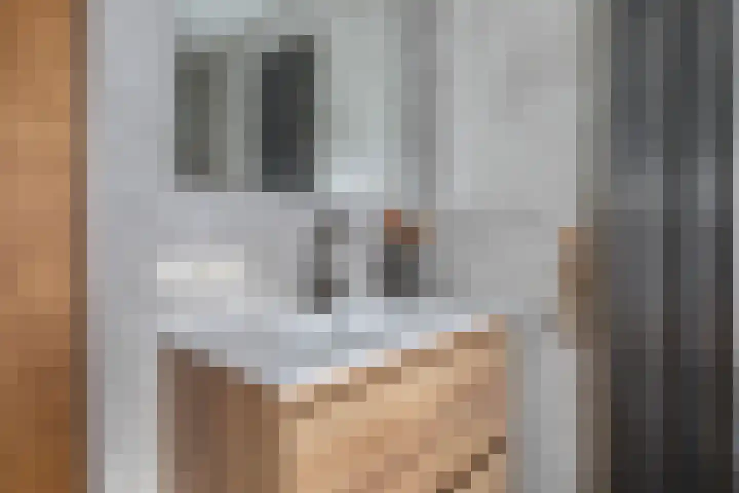 Elte Martens Beimastrjitte 11 Eastermar thumbnail 69