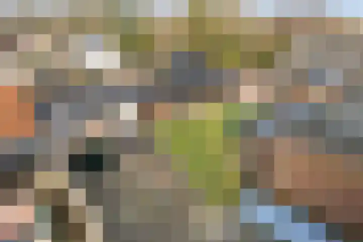 Elte Martens Beimastrjitte 11 Eastermar thumbnail 79
