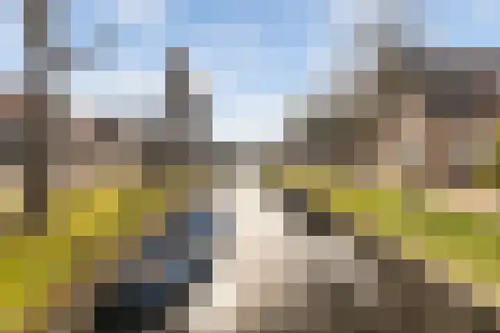 Elte Martens Beimastrjitte 11 Eastermar thumbnail 8