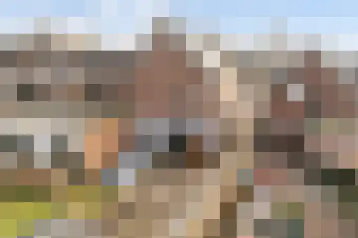 Elte Martens Beimastrjitte 11 Eastermar thumbnail 80