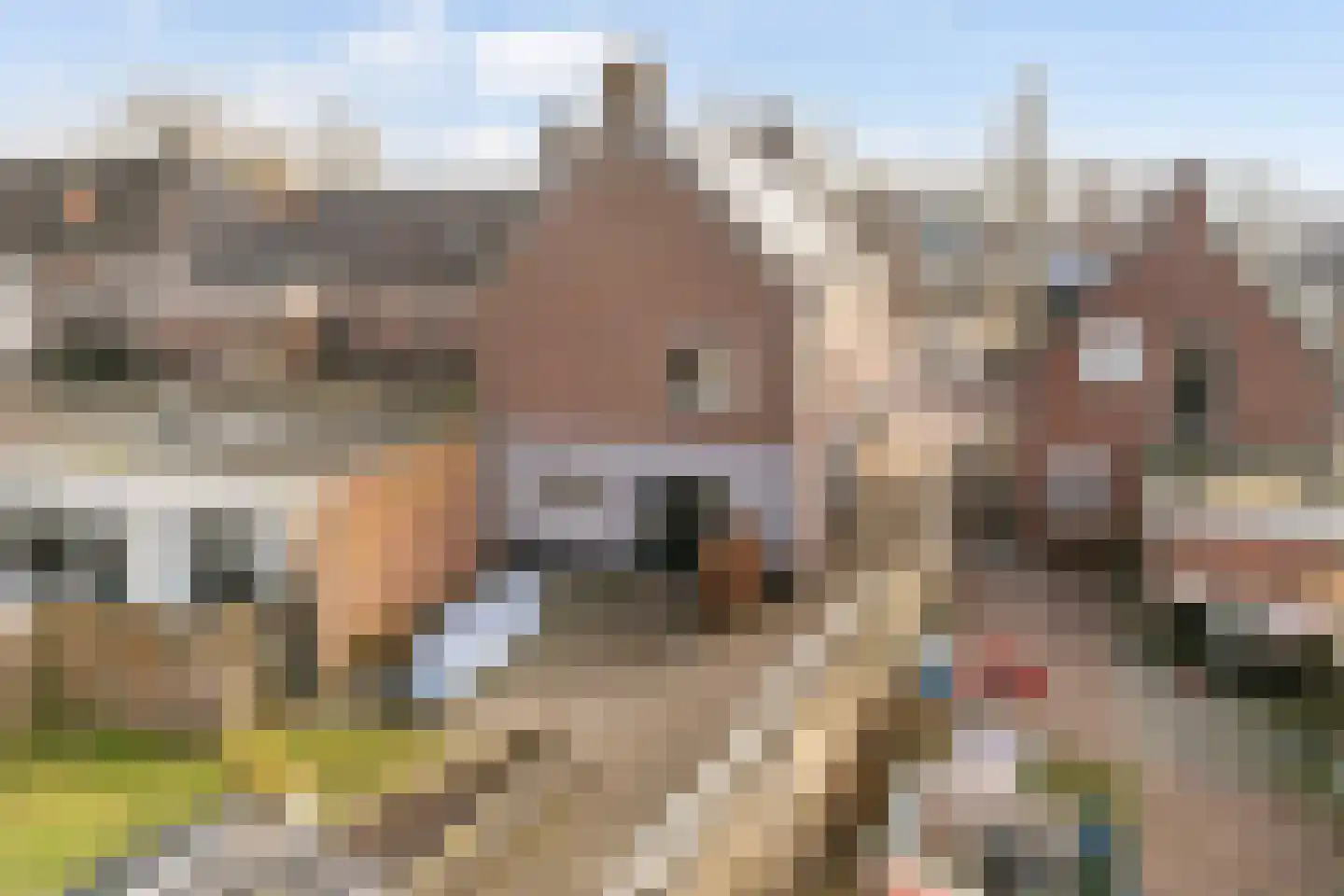 Elte Martens Beimastrjitte 11 Eastermar thumbnail 80