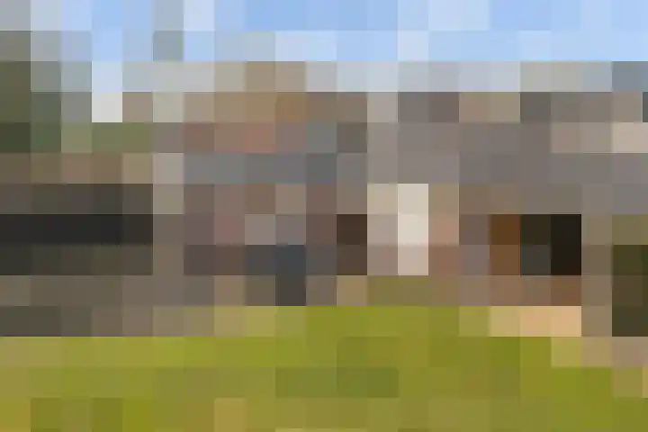 Elte Martens Beimastrjitte 11 Eastermar thumbnail 81
