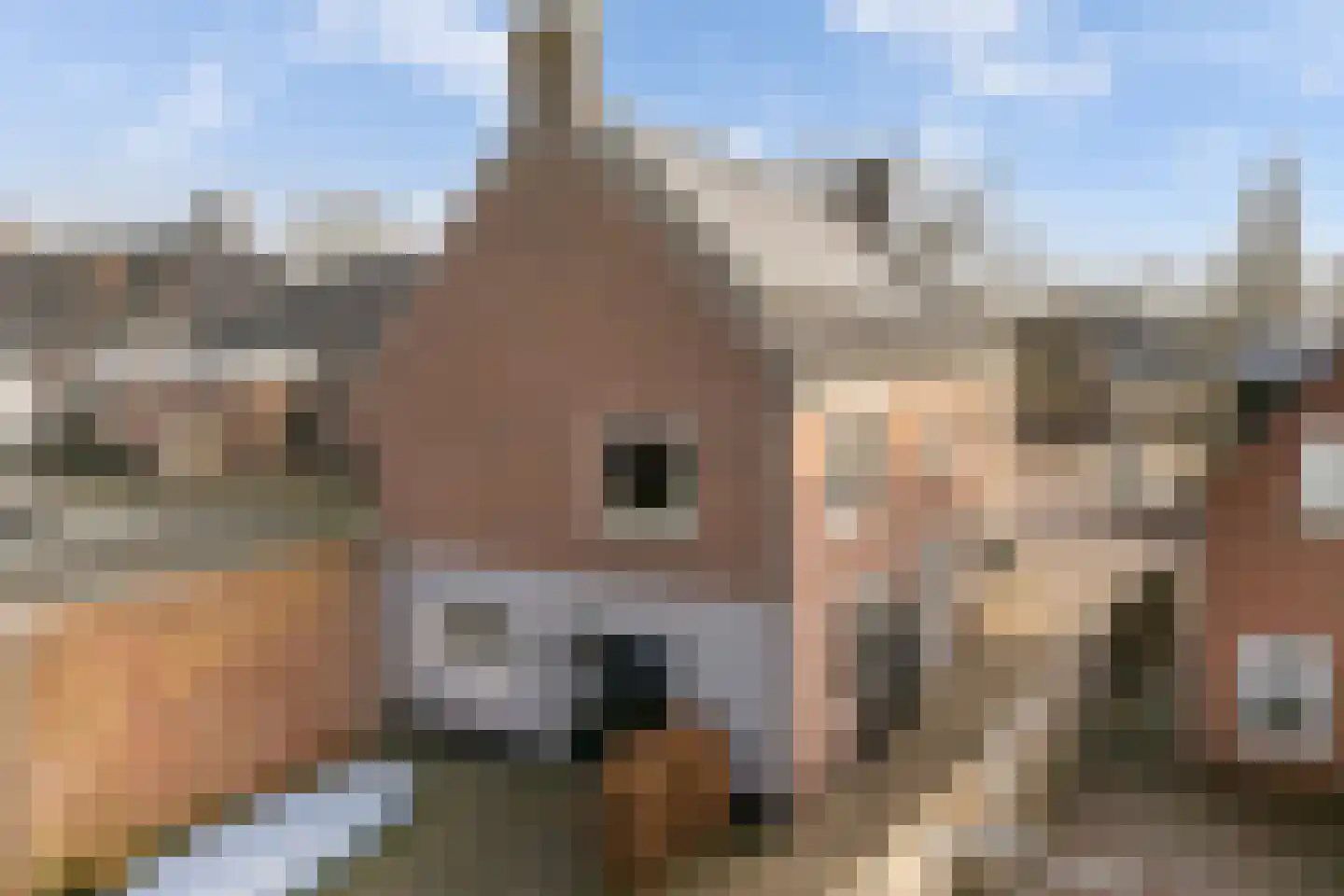 Elte Martens Beimastrjitte 11 Eastermar thumbnail 82