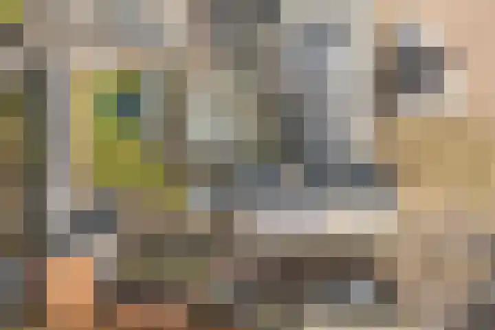 Elte Martens Beimastrjitte 11 Eastermar thumbnail 83