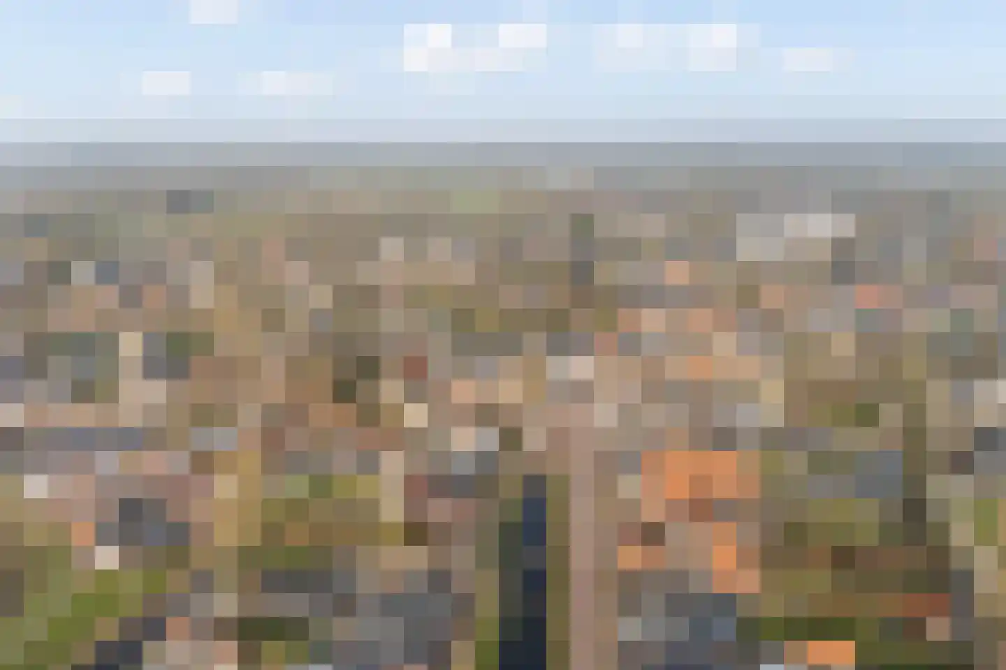 Elte Martens Beimastrjitte 11 Eastermar thumbnail 85