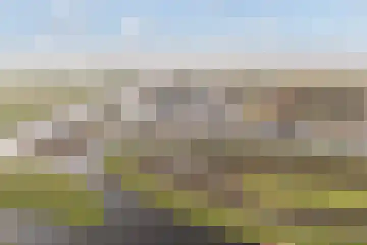 Elte Martens Beimastrjitte 11 Eastermar thumbnail 87