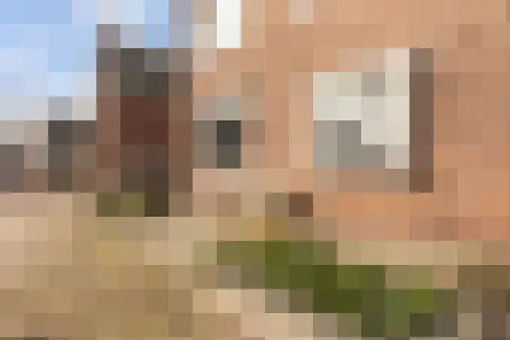 Elte Martens Beimastrjitte 11 Eastermar thumbnail 9
