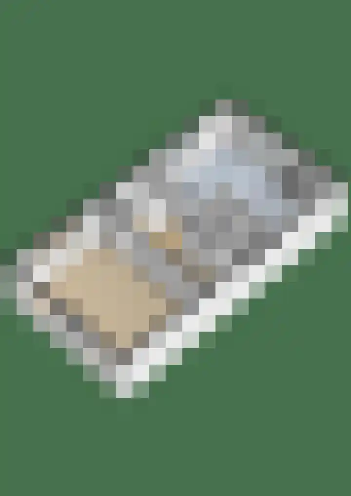 Elte Martens Beimastrjitte 11 Eastermar thumbnail 90