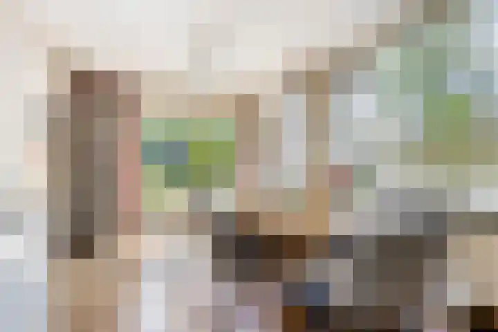 Elte Martens Beimastrjitte 64 Eastermar thumbnail 11