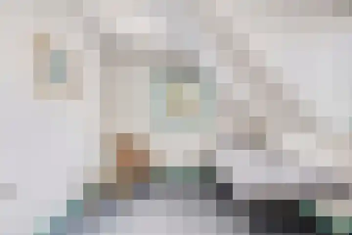 Elte Martens Beimastrjitte 64 Eastermar thumbnail 17